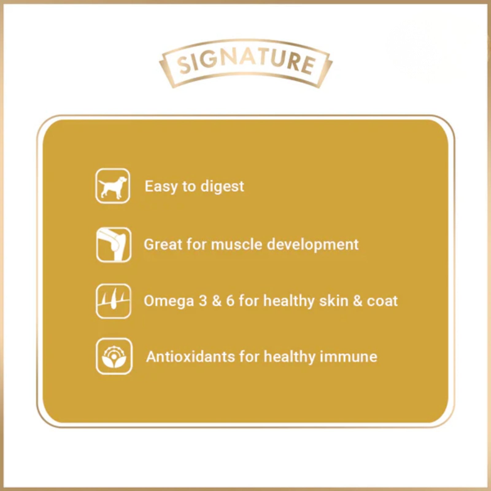 Signature Grain Zero Adult Dry Dog Food - Rufftail