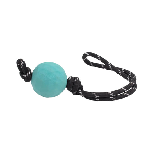 ZippyPaws ZippyTuff - Waggle RopeTugz Ball Dog Toy