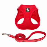 TRUELOVE Mesh Harness & Leash Set For Cats & Dogs - Red