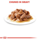 Royal Canin Wet Instinctive Gravy Complete Feed For Cats (12x85g) - Rufftail