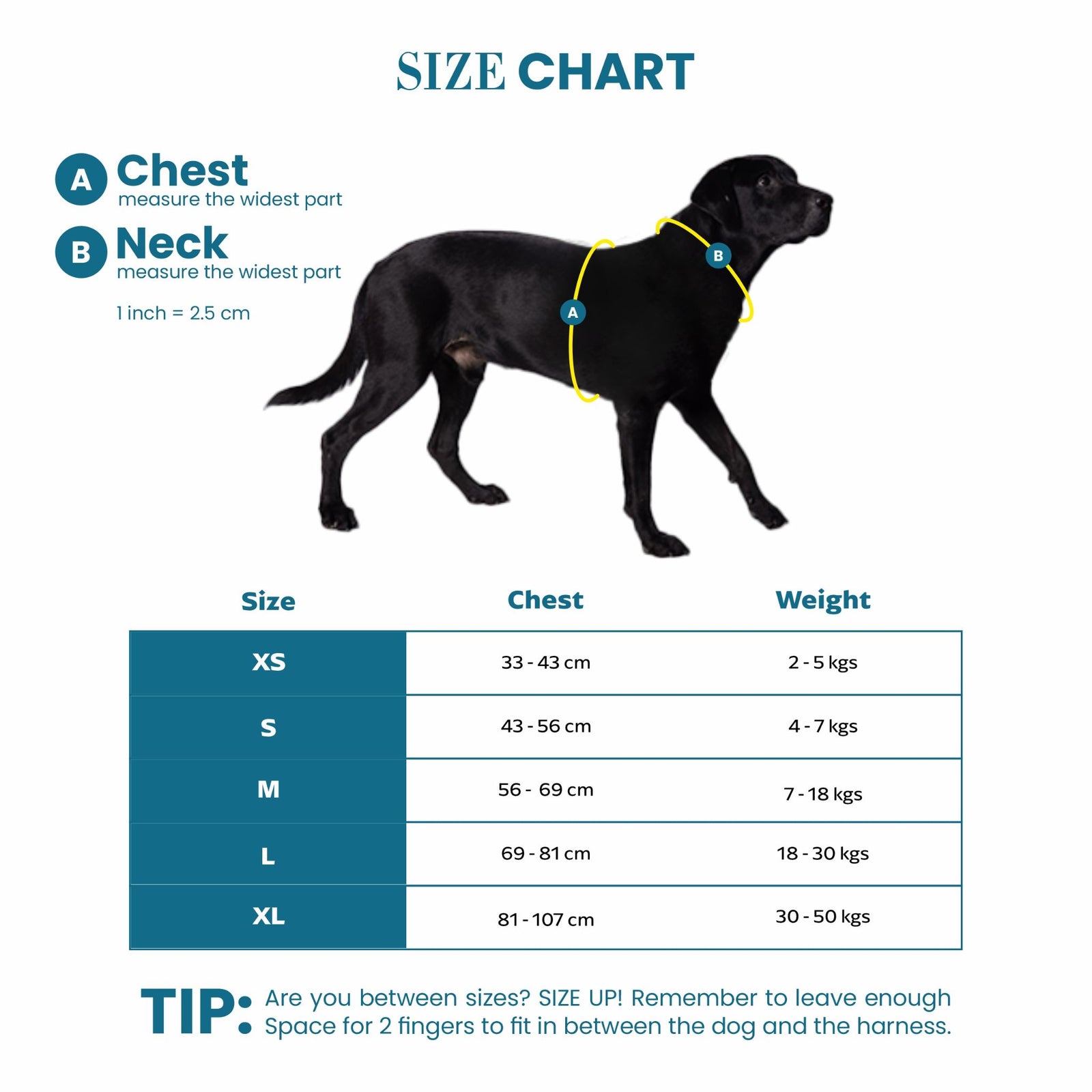 Truelove No-Pull Special Edition Harness for Dogs- Camouflage Blue product image 5 - Rufftail Pune