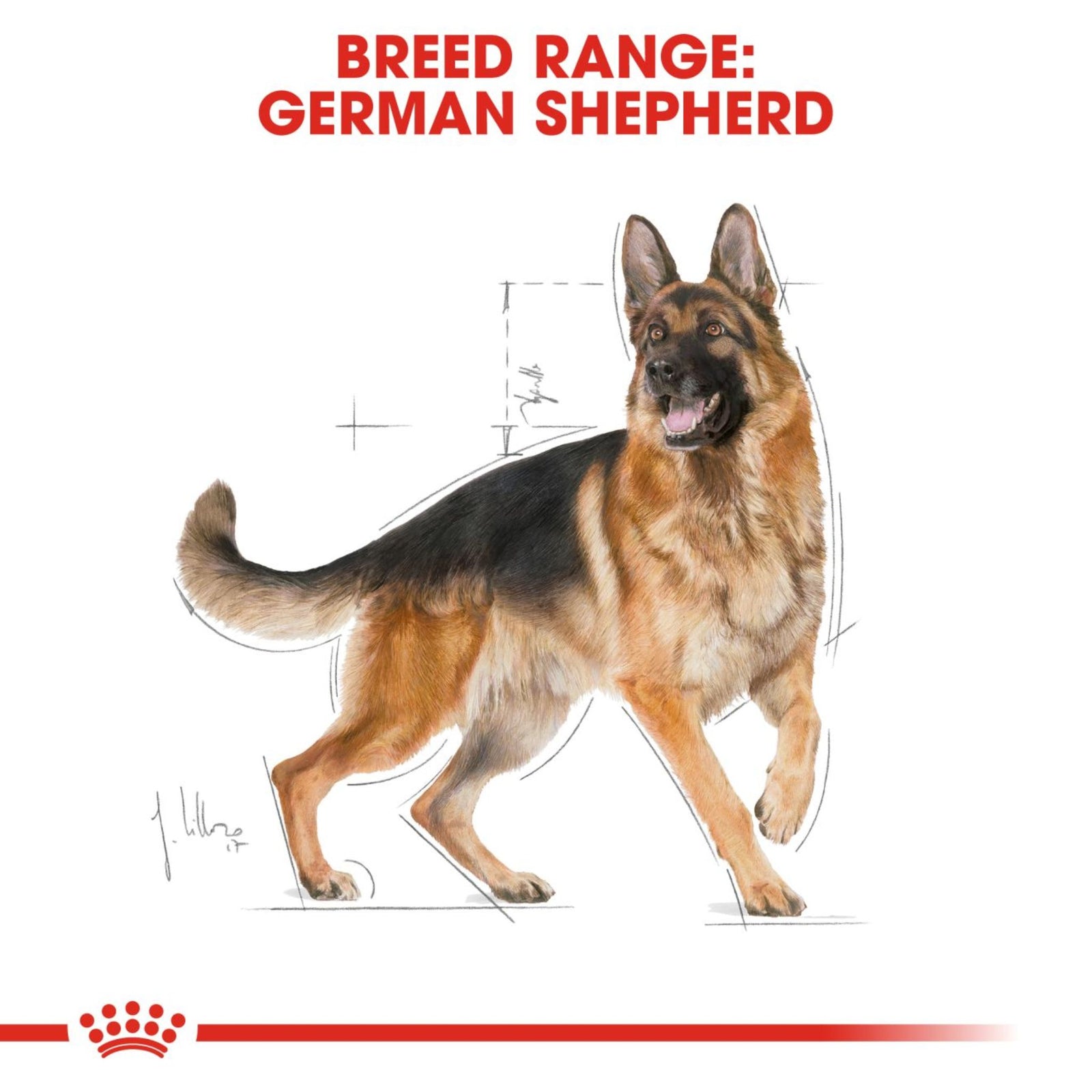 Royal Canin German Shepherd Adult Dry Dog Food product image 8 - Rufftail Pune