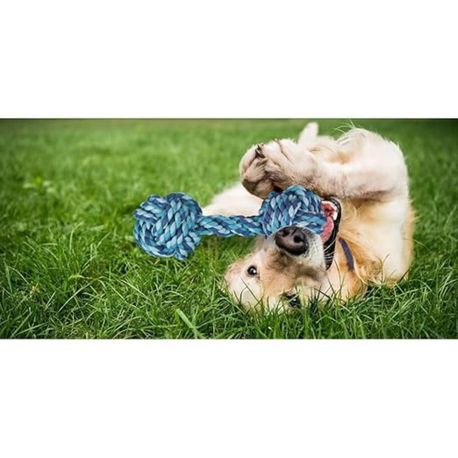 Trixie Rope Dumbbell Various Colour For Dogs -20 cm - Rufftail