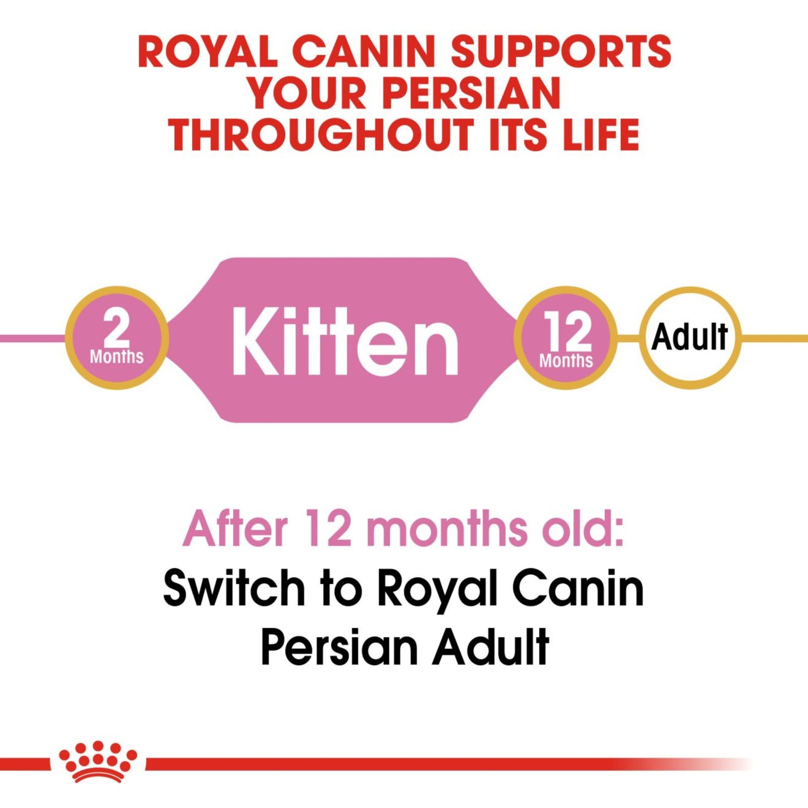 Royal Canin Persian Kitten Dry Cat Food product image 4 - Rufftail Pune