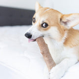 Petstages Dogwood Durable Stick Dog Toy- Medium 18cm product image 7 - Rufftail Pune