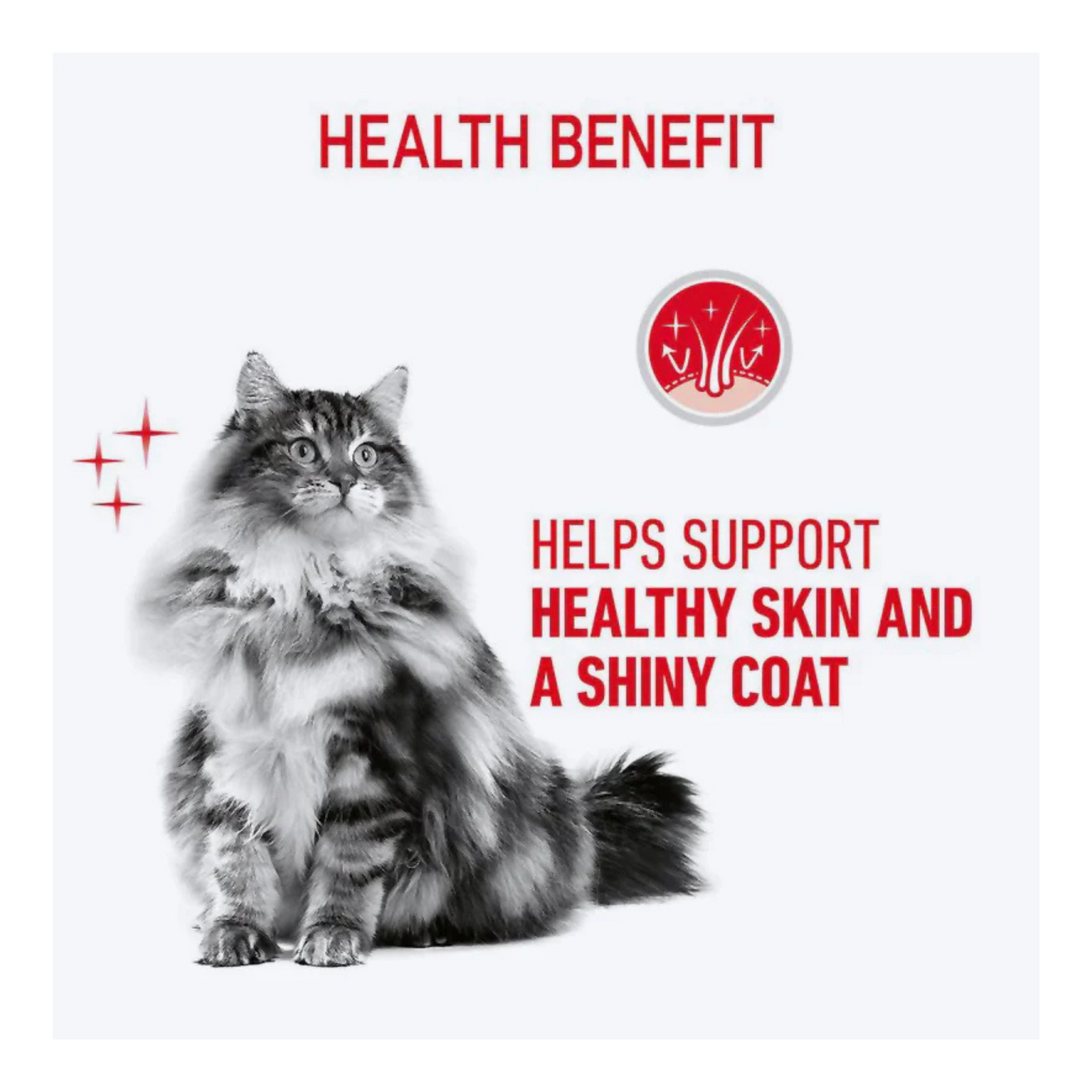 Royal Canin Hair & Skin Care In Gravy Adult Cat Wet Food - Rufftail