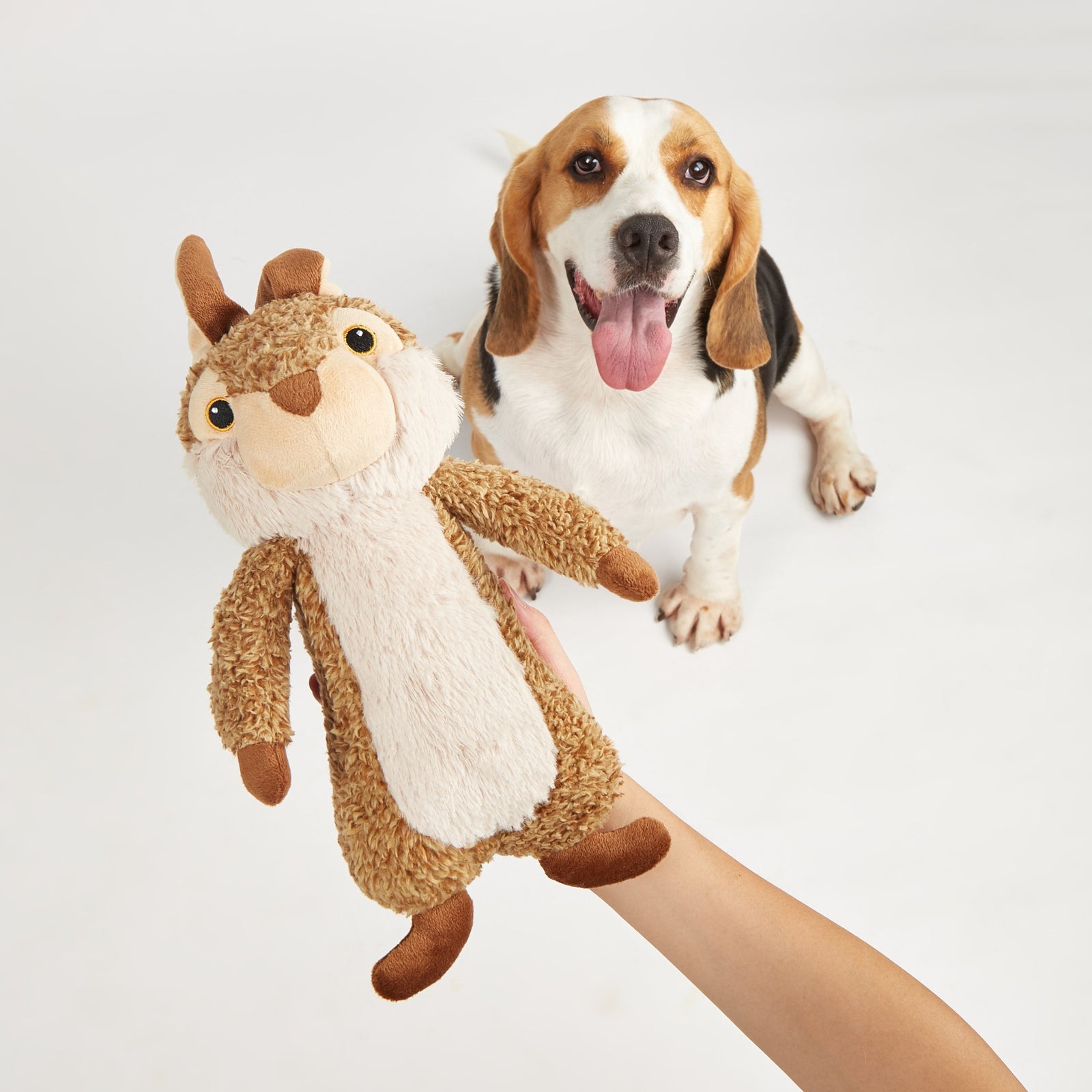BarkButler x FOFOS Wildlife Plush Rabbit Dog Toy - Squeaky & Soft Toy - Rufftail