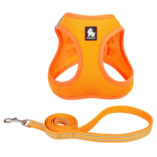 TRUELOVE Mesh Harness & Leash Set For Cats & Dogs - Orange