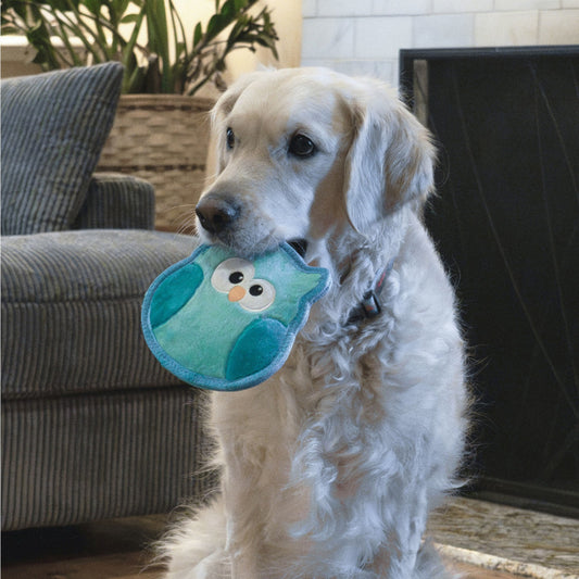 Outward Hound Tough Skinz Super Durable Squeaky Dog Toy - Owl Turquoise