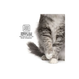 ProDiet Ocean Fish Wet Cat Food Pouch (85 g)