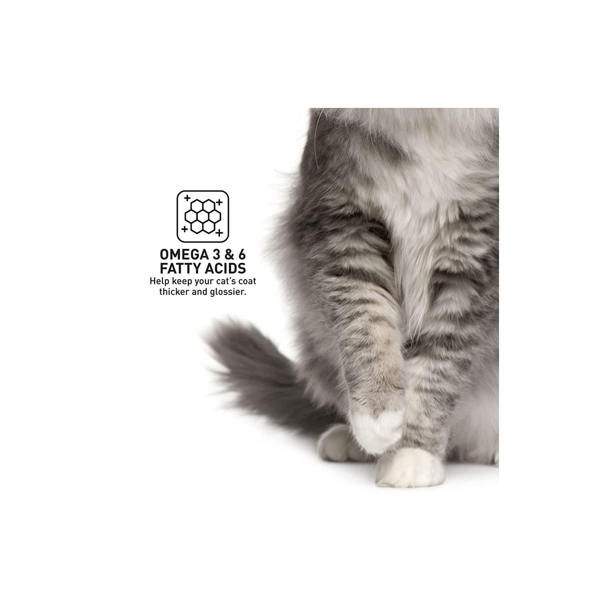 ProDiet Ocean Fish Wet Cat Food Pouch (85 g)