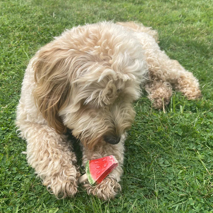 Imaginelles Pup Ice Dog Treat Assorted (4 flavours) product image 7 - Rufftail Pune
