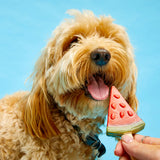 Imaginelles Pup Ice Dog Treat Assorted (4 flavours) product image 6 - Rufftail Pune