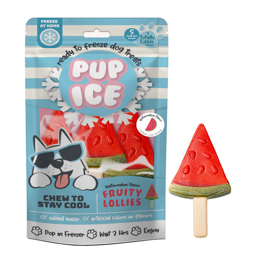 Imaginelles Pup Ice Fruity Lollies Watermelon Dog Treat- 90g - Rufftail Pune