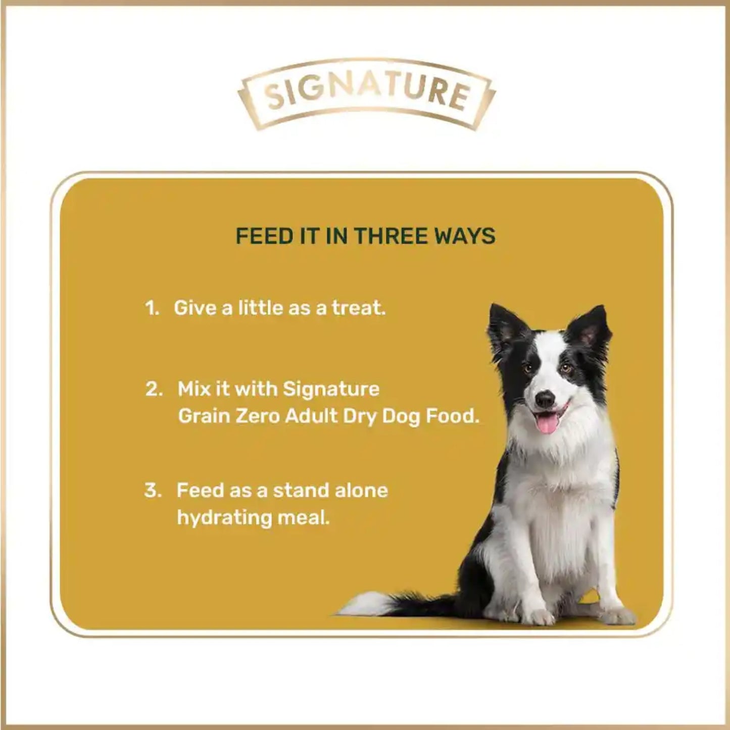 Grain Zero Adult Chicken Chunks Gravy Wet Dog Food 70 Gram - Rufftail