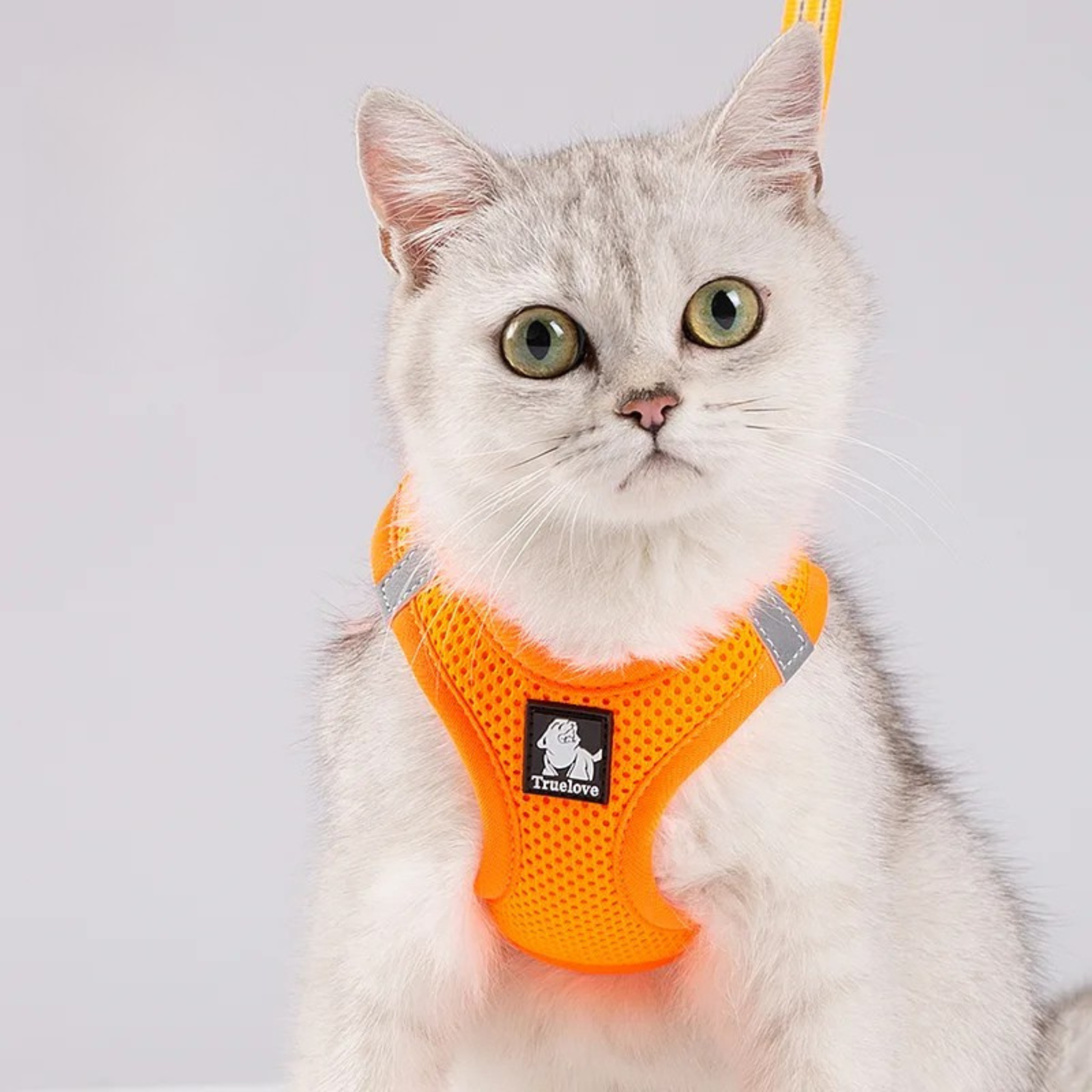 TRUELOVE Mesh Harness & Leash Set For Cats & Dogs - Orange