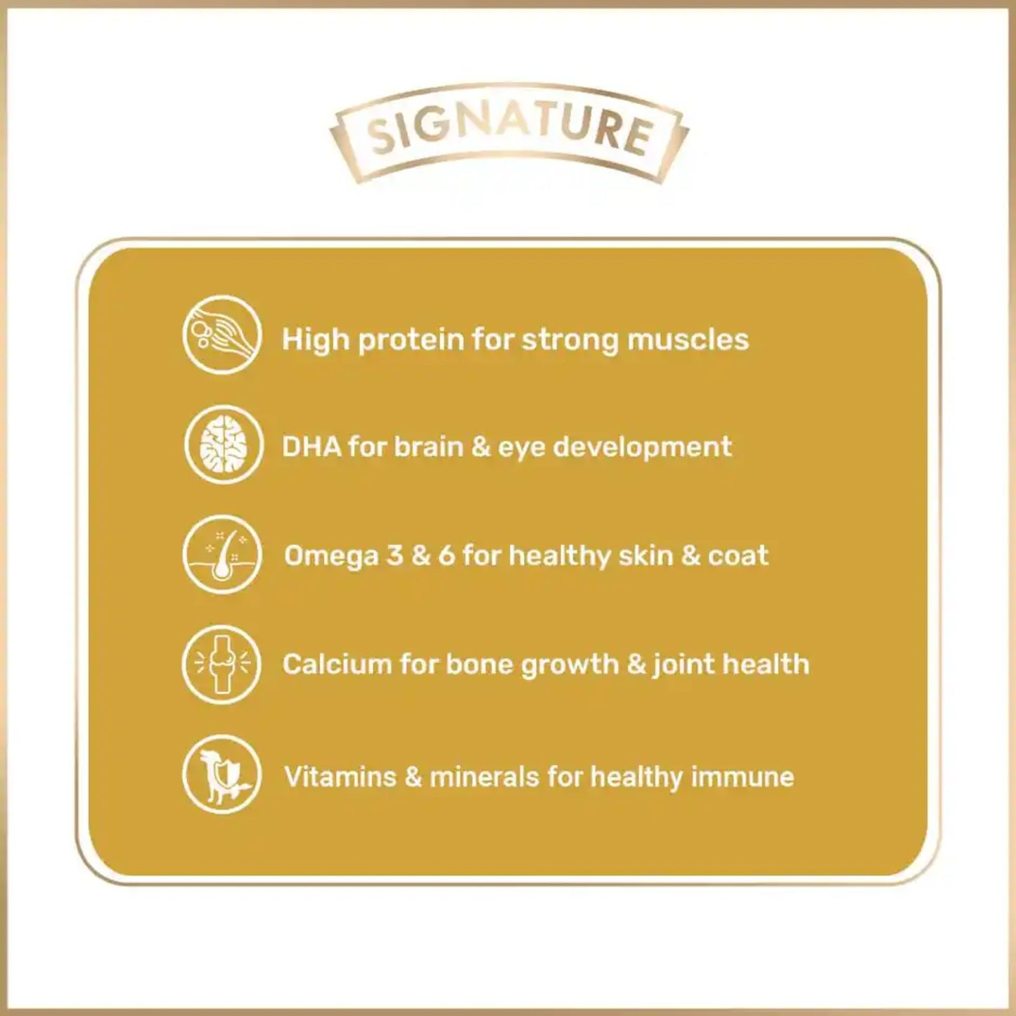 Grain Zero Adult Chicken Chunks Gravy Wet Dog Food 70 Gram - Rufftail