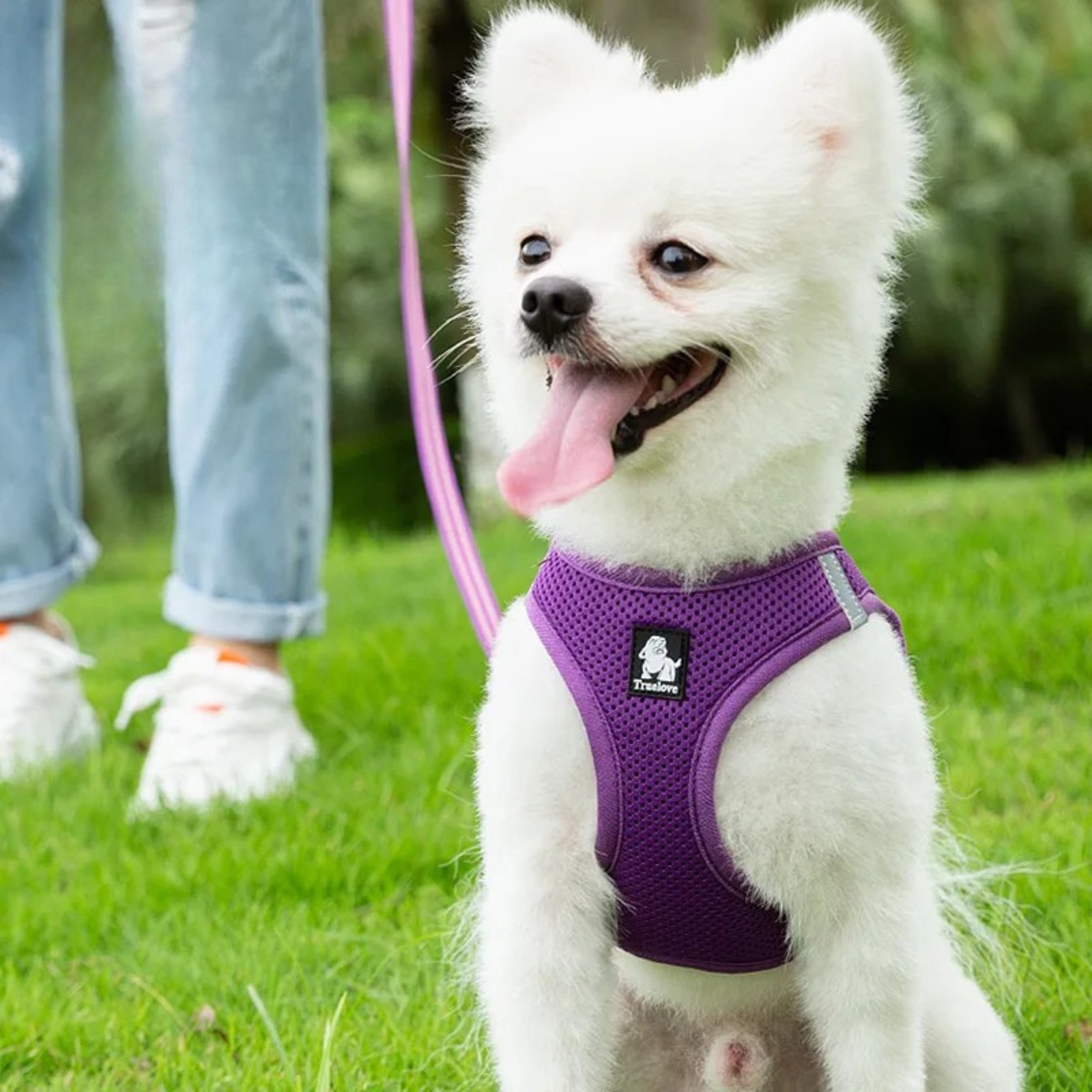 TRUELOVE Mesh Harness & Leash Set For Cats & Dogs - Orange