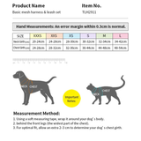 TRUELOVE Mesh Harness & Leash Set For Cats & Dogs - Orange