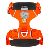 Ruffwear Front Range Harness for Dogs - Blaze Orange