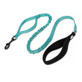 Truelove Durable Bungee Dog Leash- Baltic - Rufftail Pune