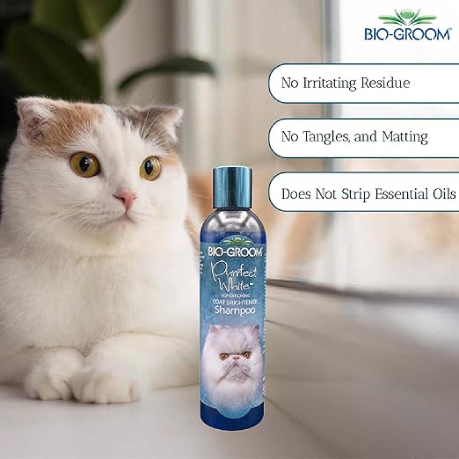 Bio-Groom Purrfect White Cat Conditioning Shampoo for Cats- 236 ml product image 6 - Rufftail Pune