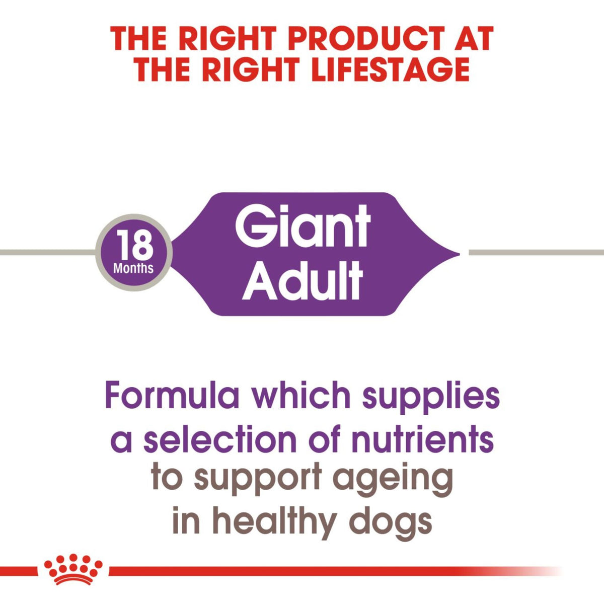 Royal Canin Dry Giant Adult Complete feed for dogs - Rufftail