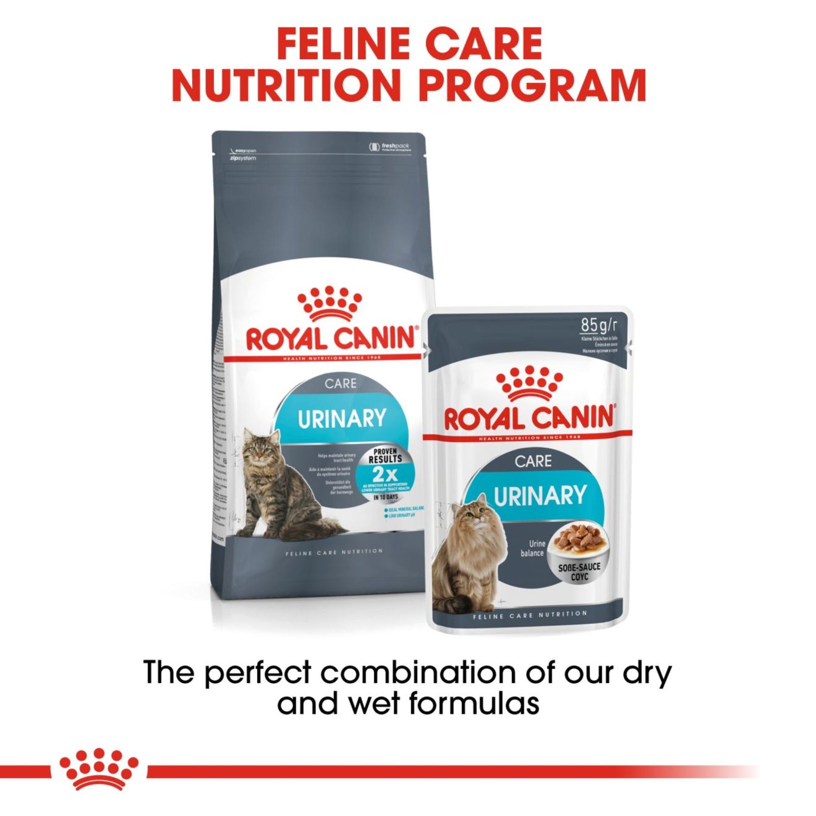 Royal Canin Dry Urinary Care Balanced and complete feed for cats - Rufftail