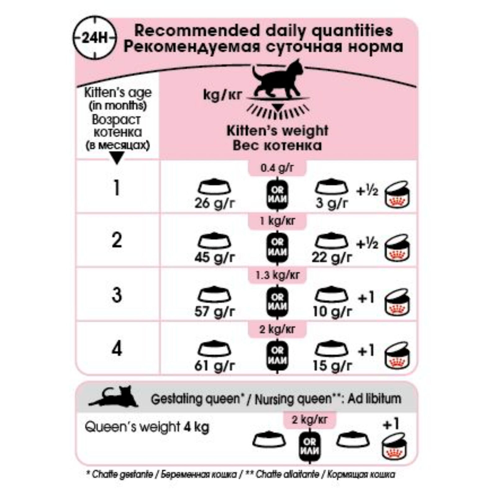 Royal Canin Dry Mother & Babycat Food – Cat Food Dry - Rufftail
