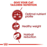 Royal Canin Regular Fit 32 Dry Cat Food product image 3 - Rufftail Pune