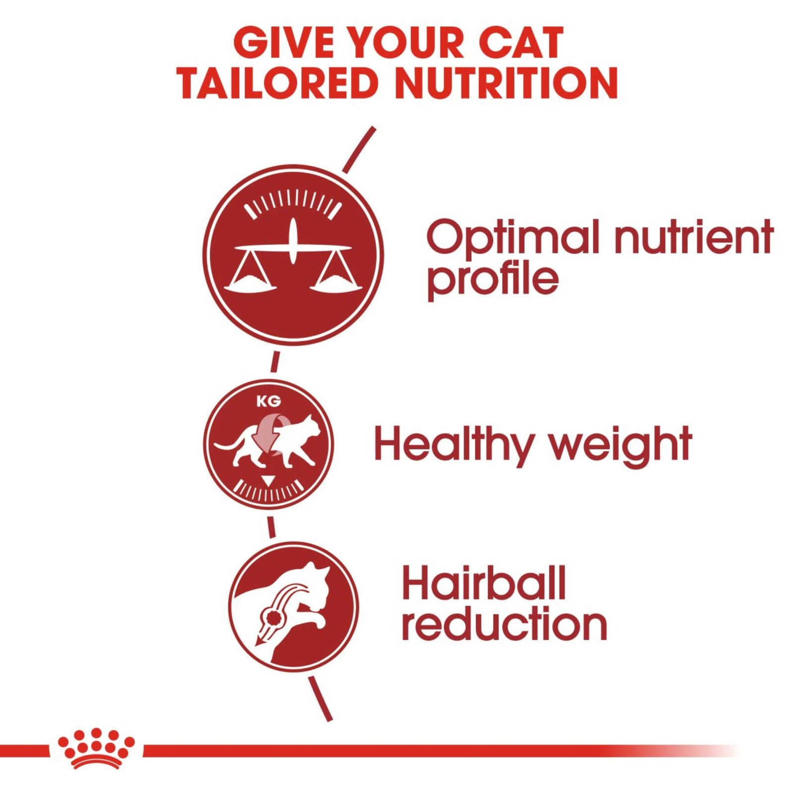 Royal Canin Regular Fit 32 Dry Cat Food product image 3 - Rufftail Pune