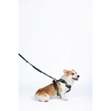 M-Pets HIKING Harness Camouflage for Dogs product image 7 - Rufftail Pune