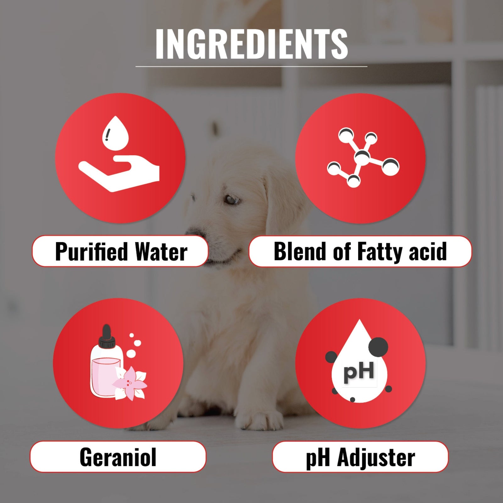 OUT Toilet Home Training Aid for Puppies 500ml product image 7 - Rufftail Pune