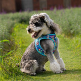 Truelove Floral Harness for Small & Medium Dog Breeds- Blue Atoll product image 8 - Rufftail Pune