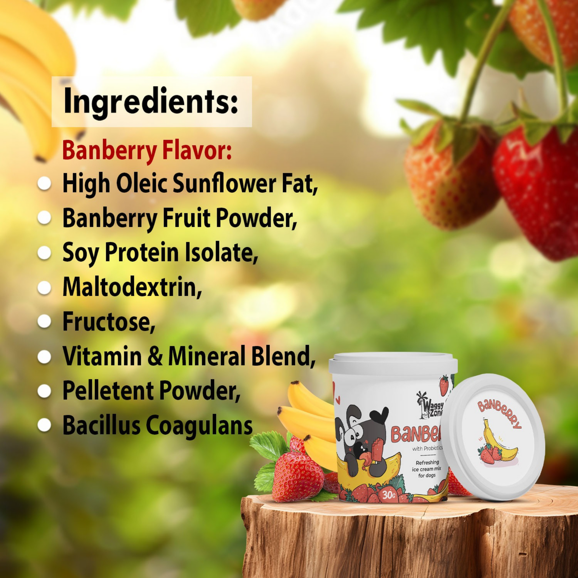 Waggy Zone Natural Dogs Ice Cream - Banberry (Pack of 3) - Rufftail