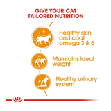 Royal Canin Hair & Skin Care In Gravy Adult Cat Wet Food - Rufftail