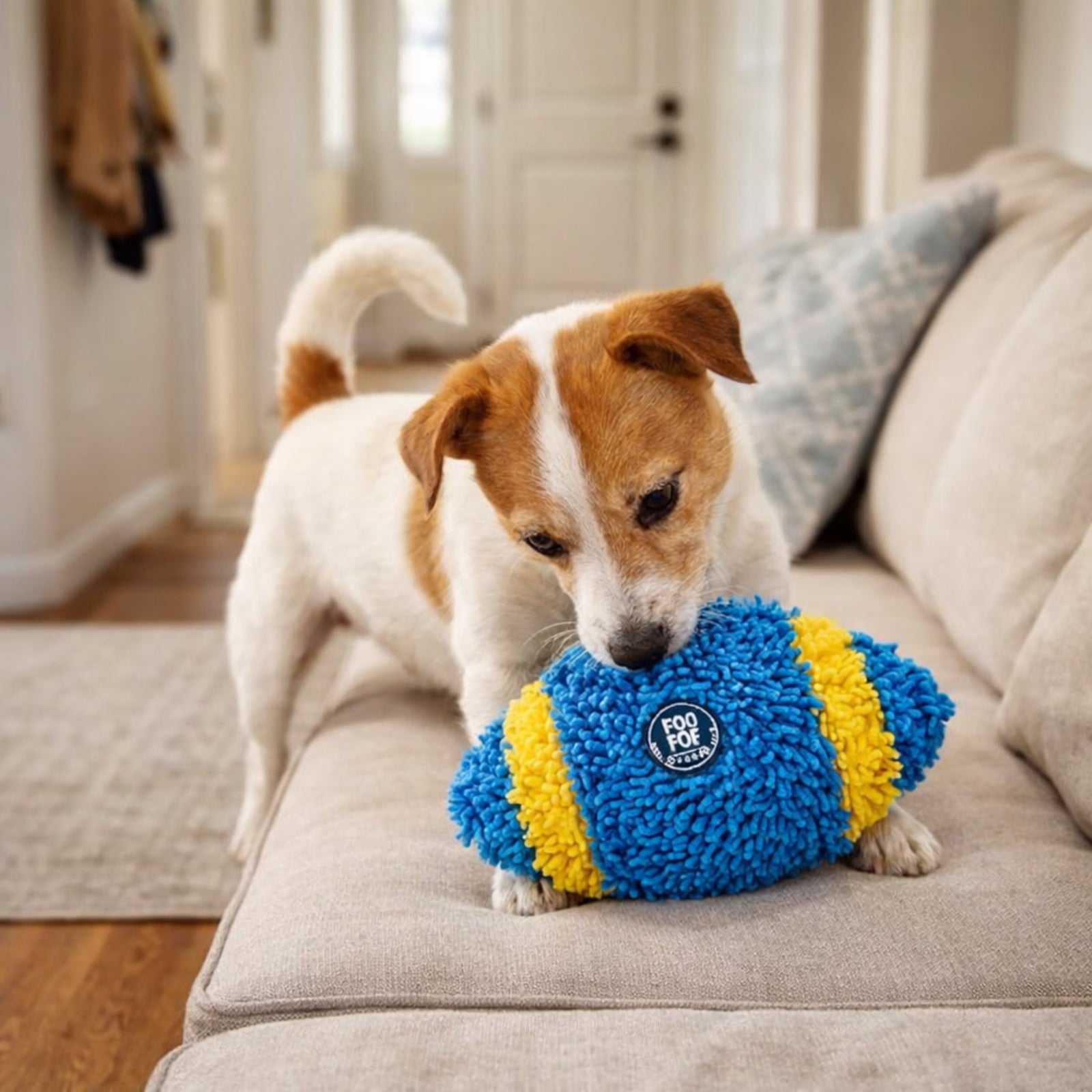 FOFOS Sports Rugby Dog Toy - Rufftail