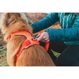 Ruffwear Front Range Harness for Dogs - Blaze Orange
