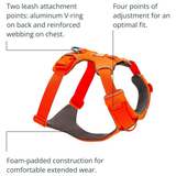 Ruffwear Front Range Harness for Dogs - Blaze Orange