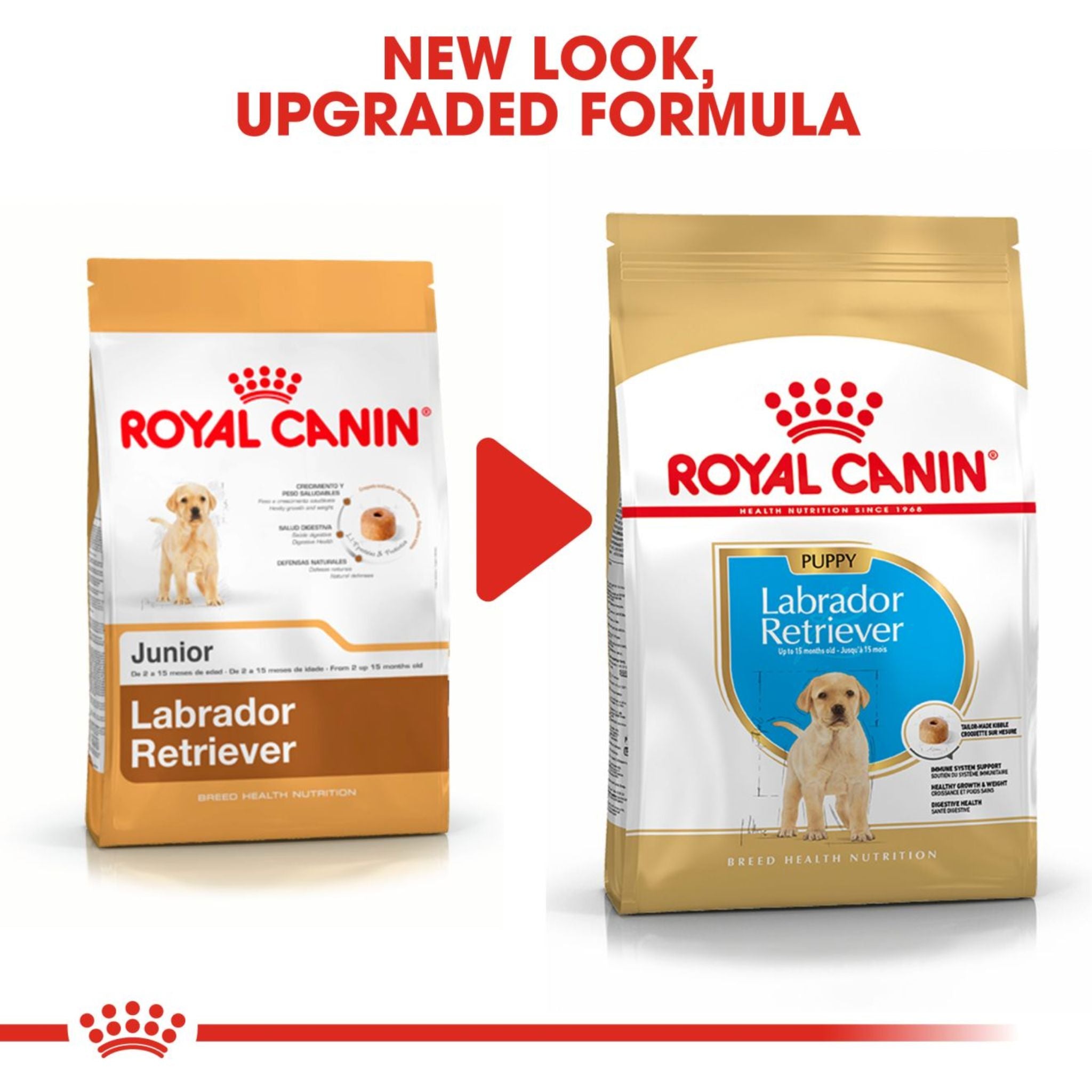 Royal Canin Dry Labrador Retriever Puppy Complete feed for dogs - Rufftail