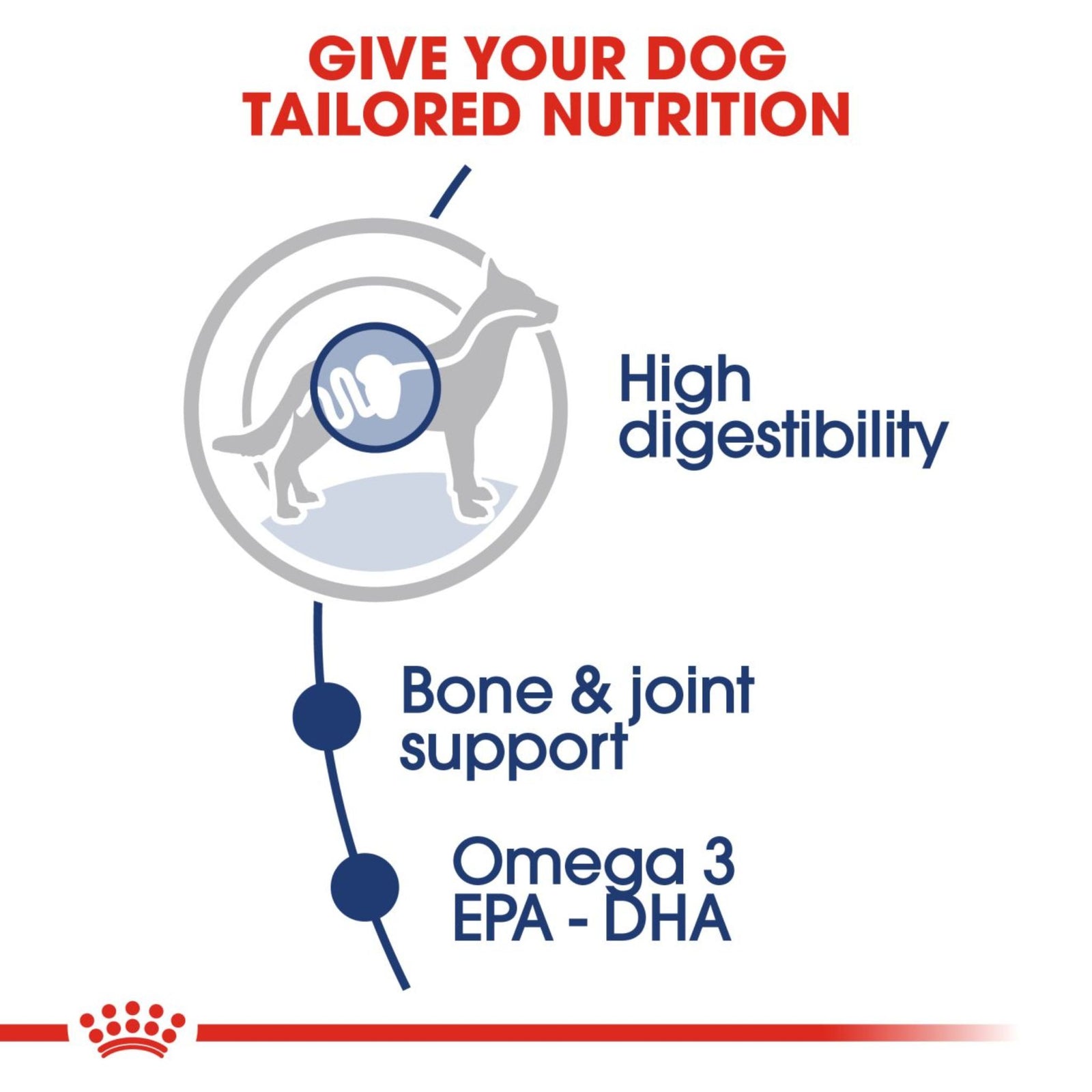 Royal Canin Dry Maxi Adult 5+ Complete feed for dogs - Rufftail