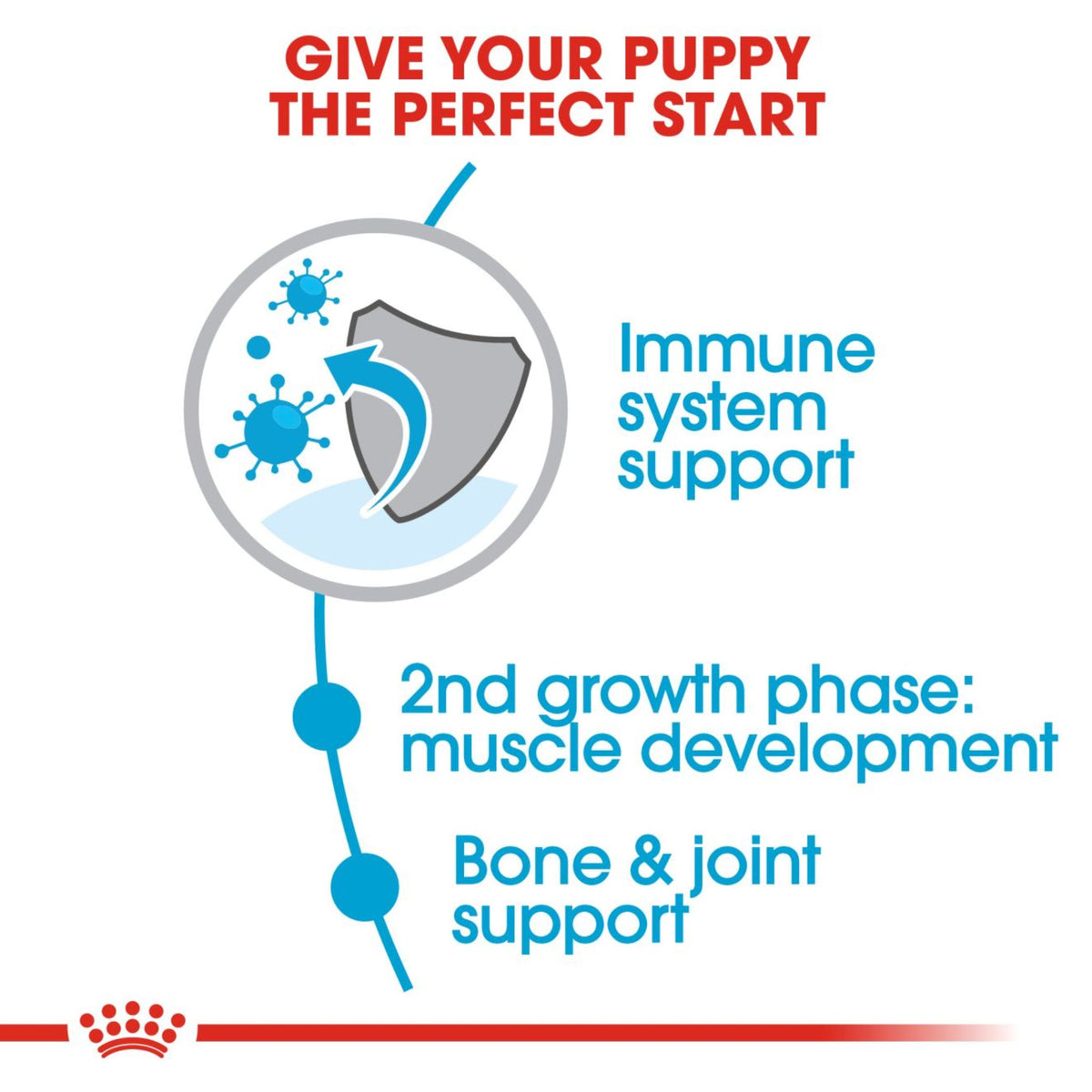 Royal Canin Dry Giant Junior Complete feed for dogs - Rufftail