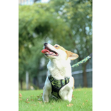 M-Pets HIKING Harness Camouflage for Dogs product image 8 - Rufftail Pune