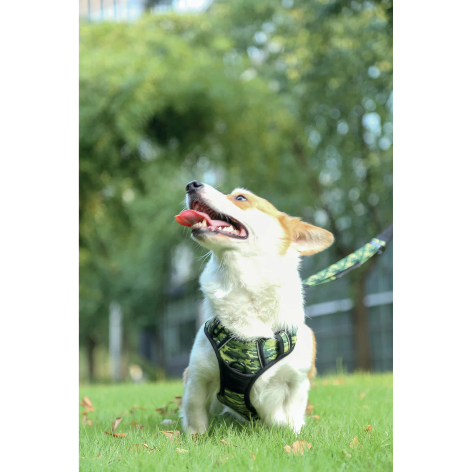 M-Pets HIKING Harness Camouflage for Dogs product image 8 - Rufftail Pune