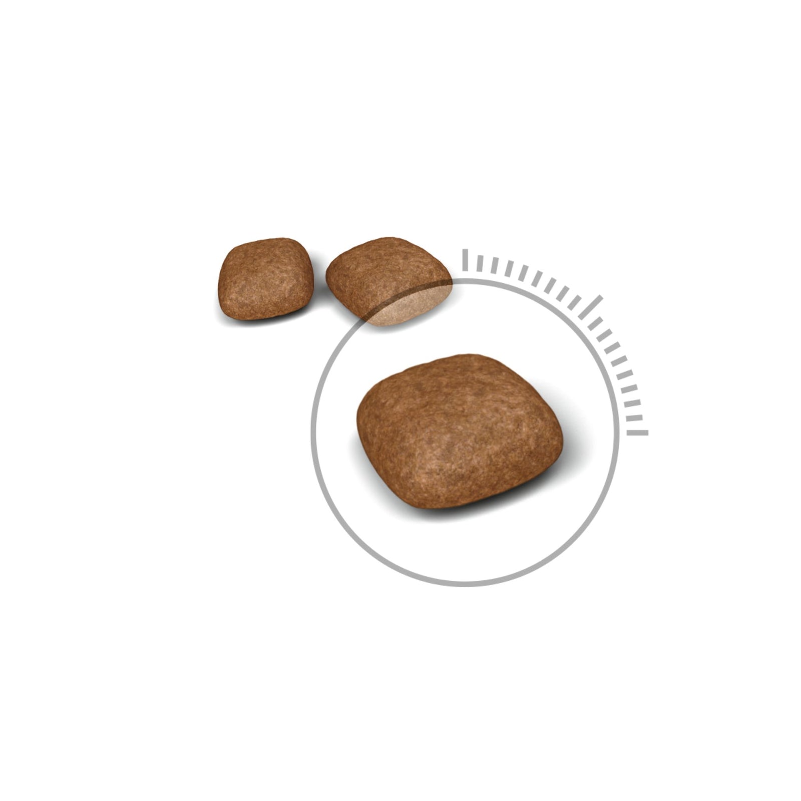 Royal Canin Dry Urinary Care Balanced and complete feed for cats - Rufftail