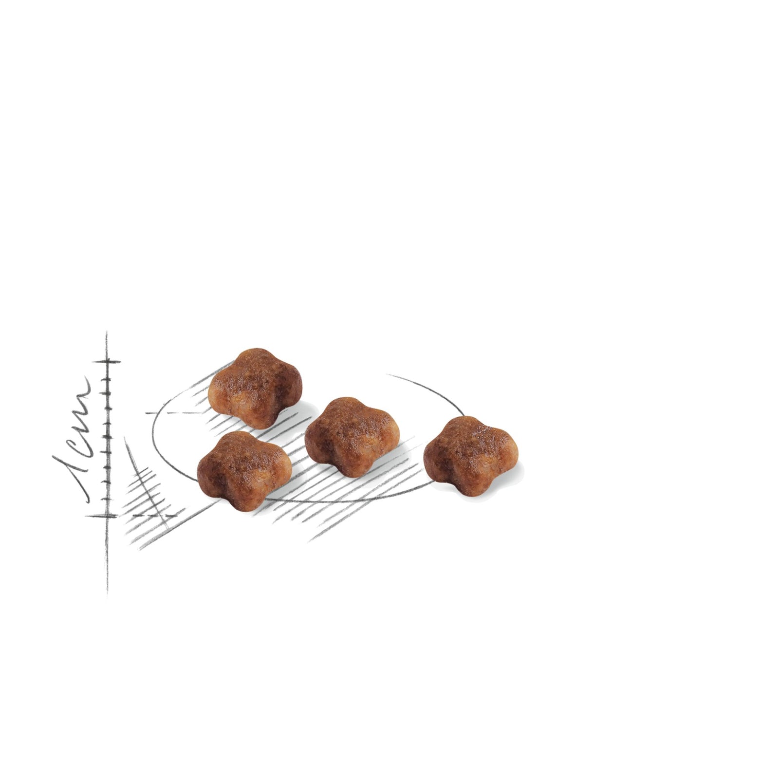 Royal Canin Dry Mother & Babycat Food – Cat Food Dry - Rufftail