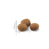 Royal Canin Regular Sterilised 7+ Dry Cat Food (1.5 kg) product image 8 - Rufftail Pune