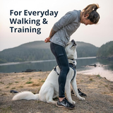 Ruffwear Front Range Harness for Dogs - Aurora Teal