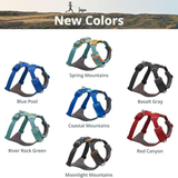 Ruffwear Front Range Harness for Dogs - Aurora Teal
