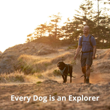 Ruffwear Front Range Harness for Dogs - Blue Moon